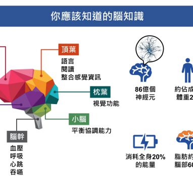 大井健康文章又來啦~這次是腦健康小知識!